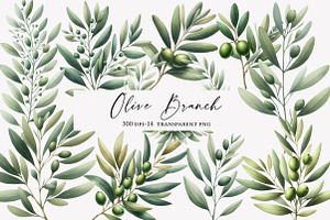 Watercolor Olive Branch Clipart, an Illustration by Designworld