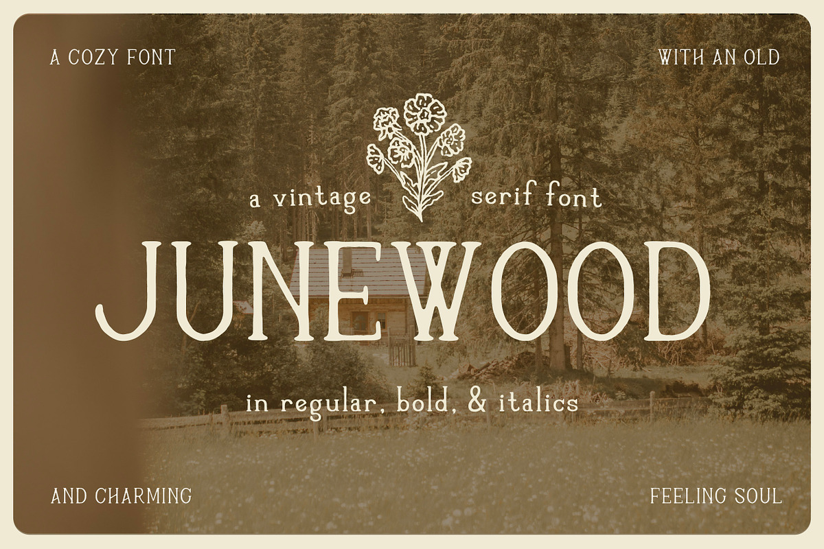 Junewood by Cindy Roaming Designs, a Serif Font by cindyroamingdesigns (Photo 1 of 8)