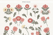 William Morris pattern, a Decorative Illustration by Jenny Quince (Thumbnail 2 of 9)