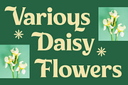 Milan Wulko Alternate Bold Serif, a Serif Font by timelesstype.co (Thumbnail 3 of 20)