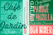 Las Palmas vintage font collection, a Script Font by Fenotype (Thumbnail 10 of 10)