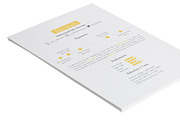 Timeline Resume Template, a Resume Template by 12 Resumes  (Thumbnail 3 of 4)