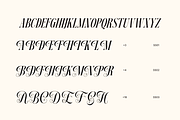 Dh Nottera Elegance - 7 Fashion Font, a Serif Font by Dharmas Foundry (Thumbnail 16 of 17)