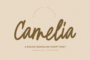 Camelia - Script Font, a Script Font by Alpaprana (Thumbnail 1 of 9)
