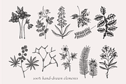 Poisonous Plant Vector Illustrations, an Object Graphic by Yevheniia (Thumbnail 4 of 11)