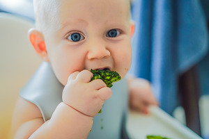 Baby eating broccoli independently, a Person Photo by Elizaveta Galitskaya