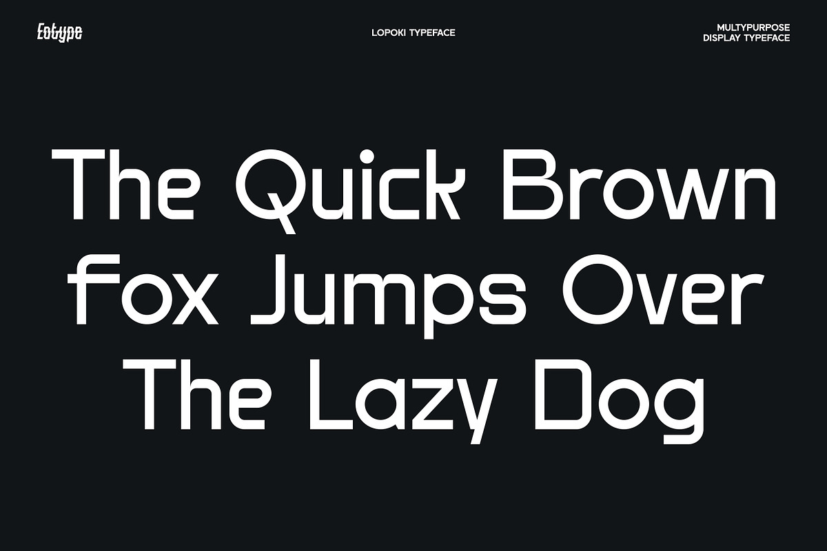 Lopoki, a Sans Serif Font by Eotype Studio (Photo 5 of 12)