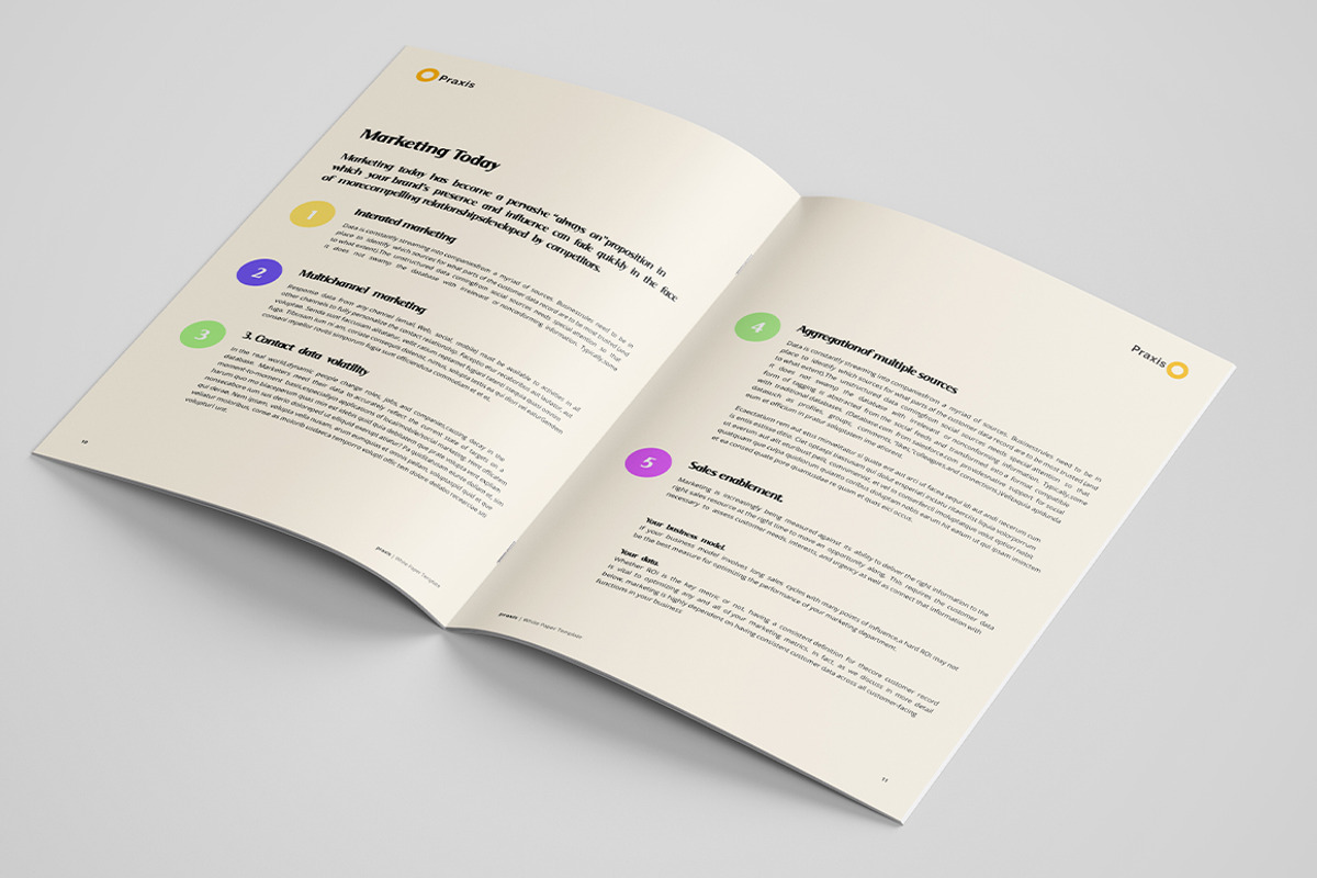 White Paper Template, a Brochure Template by azadcsstune (Photo 6 of 10)