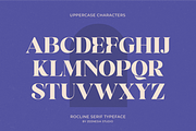 Rocline Serif, a Serif Font by zeenesia (Thumbnail 11 of 16)