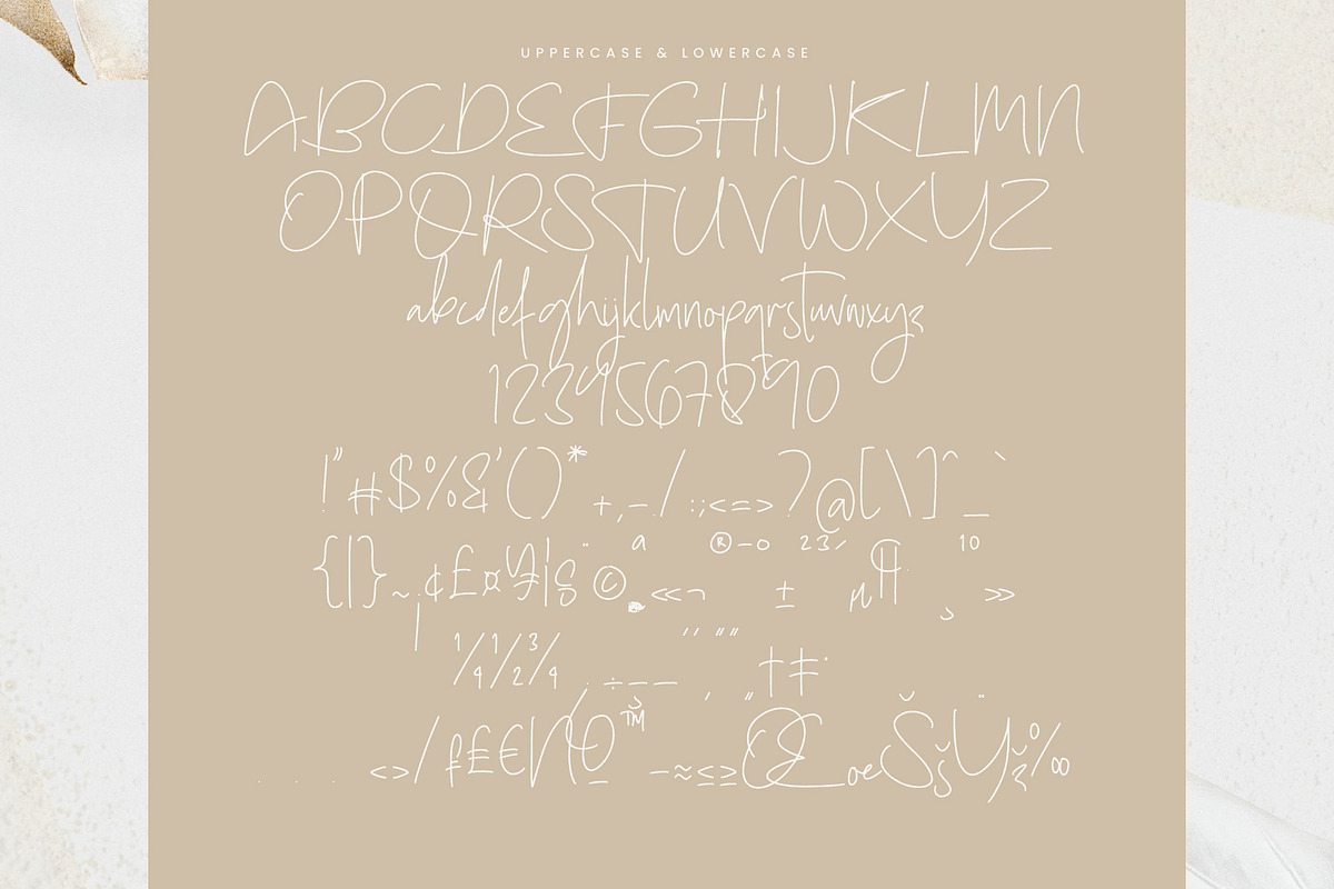 Sharottens Monoline Script, a Script Font by operatype.co (Photo 13 of 15)