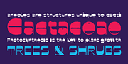 Faddy, a Sans Serif Font by Ani Dimitrova (Thumbnail 14 of 19)