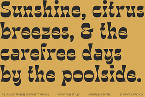 CS Lamont Reverse Contrast Font