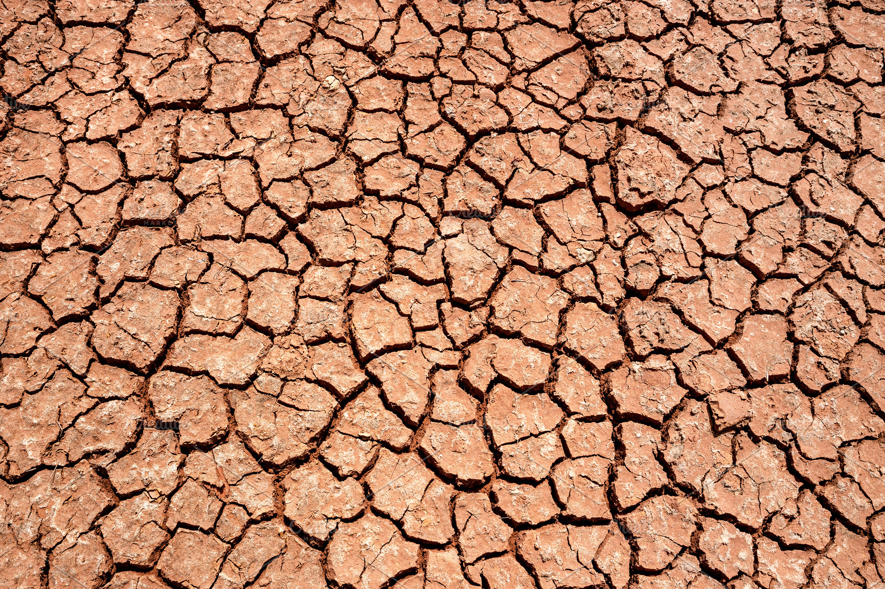 dry and cracked earth background, id, an Abstract Photo by Perpis