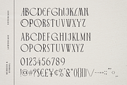 Cyrano - Unique Serif Typeface, a Serif Font by Dharmas Foundry (Thumbnail 14 of 16)