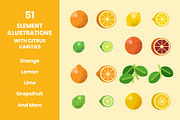 Citrus Fruit Illustrations Set, a Food Illustration by DailyYouth (Thumbnail 2 of 5)
