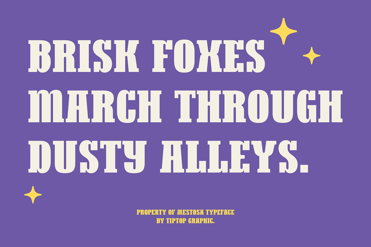 Mestosa - Funky Slab Serif, a Serif Font by Tiptop Graphic (Photo 2 of 10)