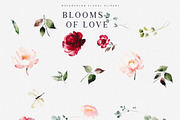 Watercolor Burgundy Blush Flowers, a Decorative Illustration by Patishop Art (Thumbnail 6 of 8)