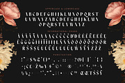 Noresa Modern Editorial Serif, a Serif Font by timelesstype.co (Thumbnail 19 of 20)