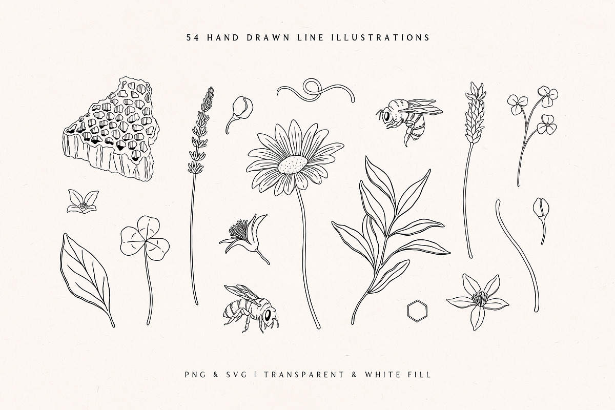 Wild Honey Vector Illustrations, a Decorative Illustration by rouxsupplyco (Photo 2 of 14)
