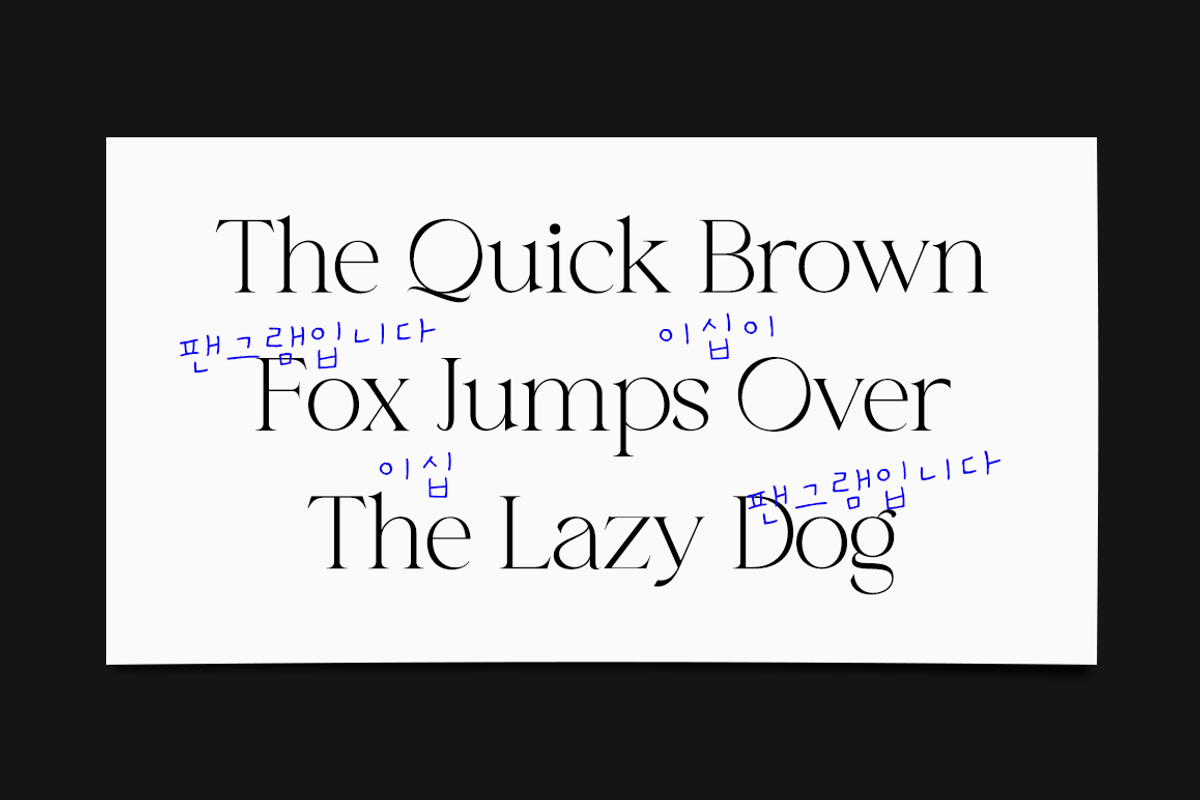 The Story of Nothing, a Serif Font by RockboyStd (Photo 7 of 12)