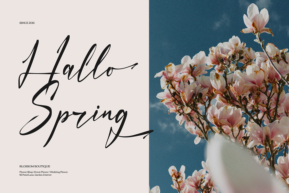 Faduga Elistonia Handwritten Script, a Script Font by gracetype_studio (Photo 9 of 12)