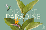 Lincoln Road Font Collection, a Sans Serif Font by DISTRICT 62 STUDIO (Thumbnail 8 of 17)