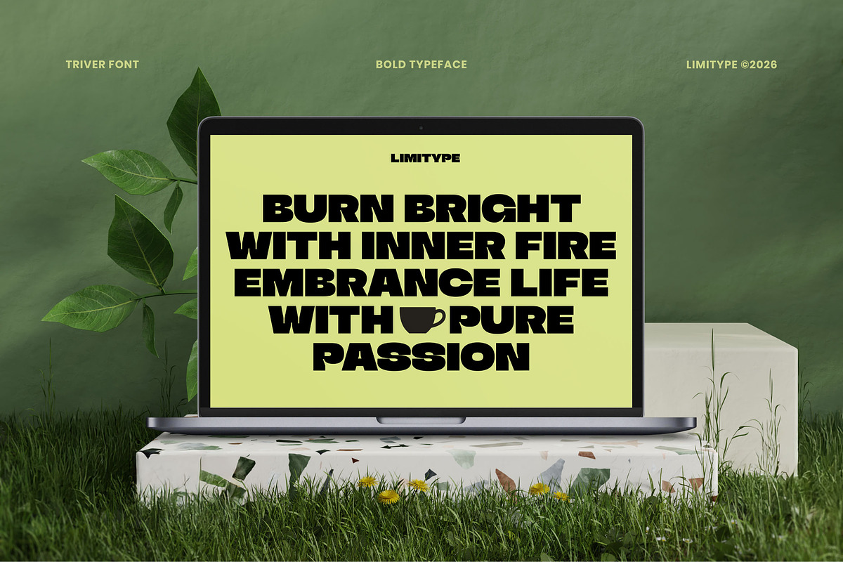 Triver - Bold Inktrap Font, a Sans Serif Font by limitype (Photo 7 of 12)