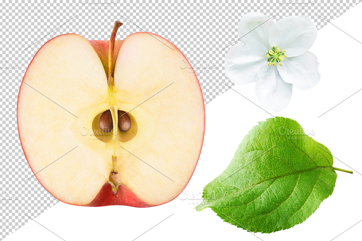 Red apples, an Object Graphic by Fruits+Veggies (Photo 7 of 8)