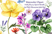 Watercolor Wild Flowers Clipart, an Illustration by DreamCafeArt (Thumbnail 1 of 7)