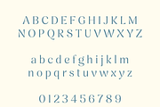 Femero - Modern Serif Family, a Serif Font by Creative Foundry (Thumbnail 7 of 9)