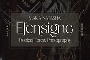 Starsight, a Serif Font by Gatype (Thumbnail 5 of 11)