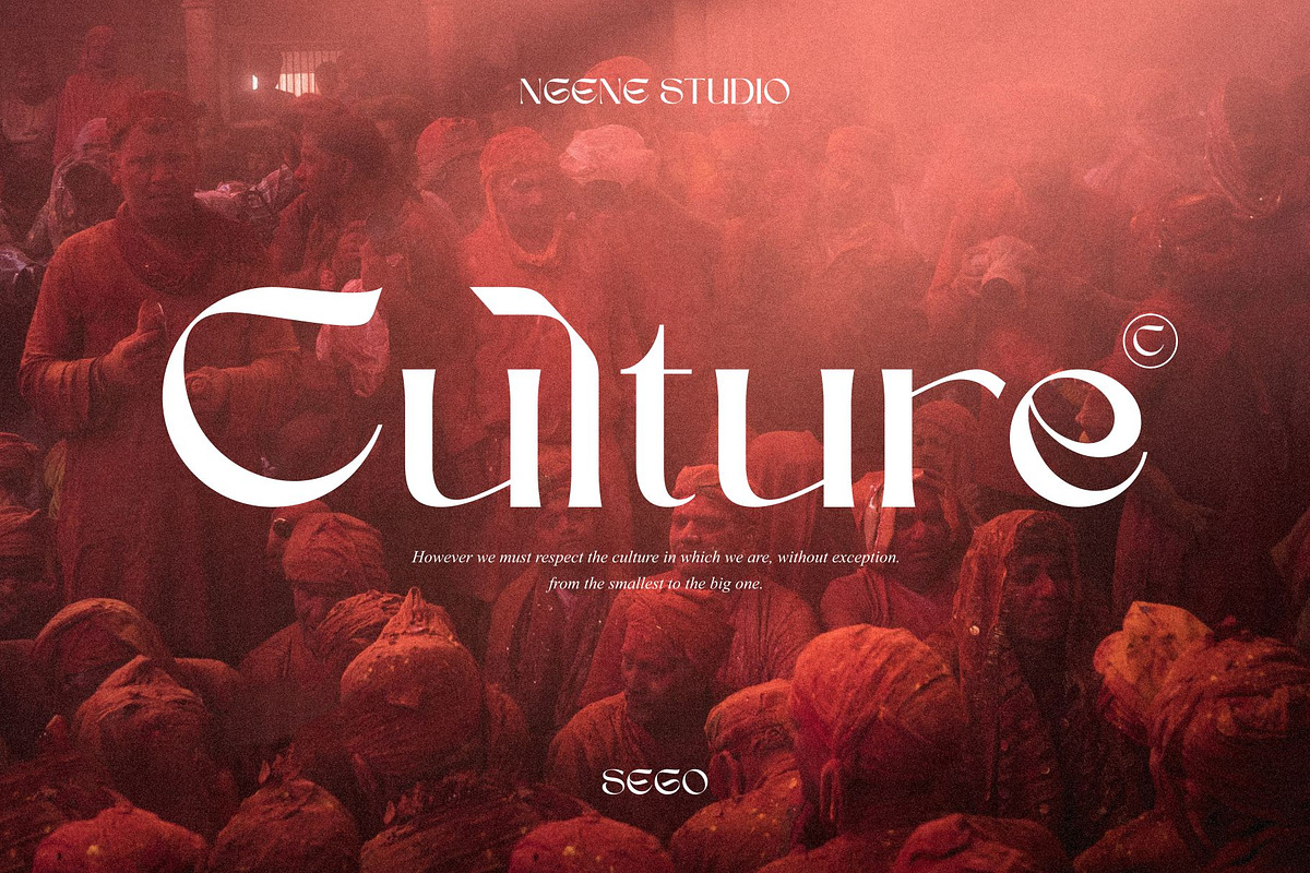 Sego Serif Font, a Serif Font by ngene (Photo 7 of 11)
