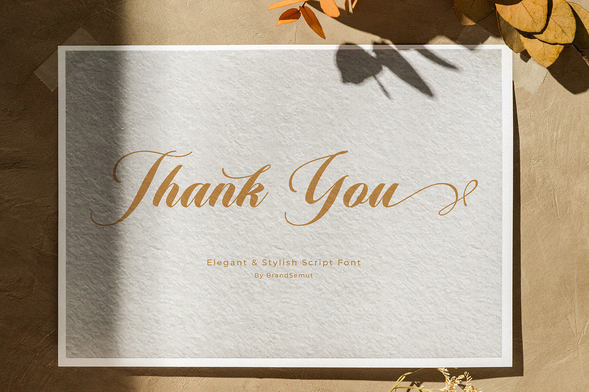 Armelie – Elegant & Stylish Script, a Script Font by BrandSemut (Photo 9 of 10)
