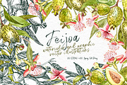 Feijoa Graphic & Watercolor clipart, a Food Illustration by Ann Astro (Thumbnail 1 of 10)