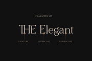 The Blinders - Elegant Serif Font, a Serif Font by RockboyStd (Thumbnail 10 of 12)