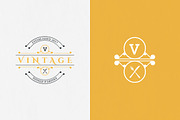 10 Vintage Logo Designs, a Branding & Logo Template by VP Fonts (Thumbnail 6 of 12)