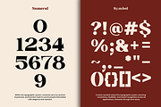 Zeist Qisofay - Modern Luxury Serif, a Serif Font by NexaLine (Thumbnail 9 of 10)