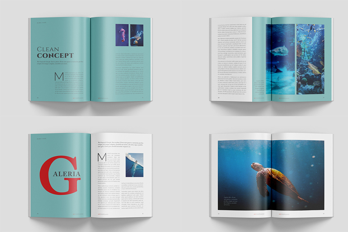 A5 Wildlife Magazine, a Magazine Template by Bookrak Graphic Design (Photo 5 of 7)
