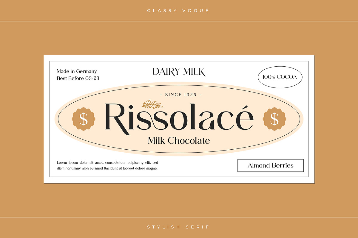 Classy Vogue - Stylish Serif, a Serif Font by Variatype (Photo 11 of 16)