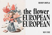Broden Display - Unique Modern Serif, a Serif Font by Myn Type (Thumbnail 14 of 16)