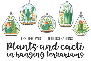 Plants and cacti in terrariums, a Decorative Illustration by Primula`s shop