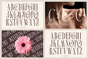 Broshock Typeface, a Serif Font by alit design (Thumbnail 18 of 20)