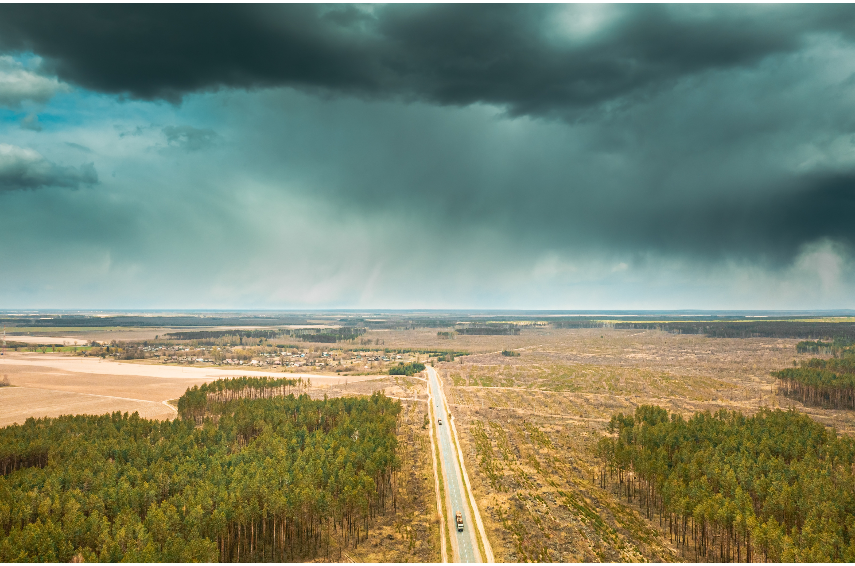 Forest Deforestation Area Landscape, a Nature Photo by Our Amazing World