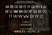 Salty Beach, a Script Font by FreshTypeINK (Thumbnail 8 of 8)