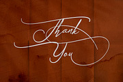 Sandrina- Elegant Script Font, a Script Font by Kotak Kuning Studio (Thumbnail 9 of 9)