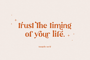 Tangelo - Retro Serif, a Serif Font by Sans & Sons (Thumbnail 2 of 10)