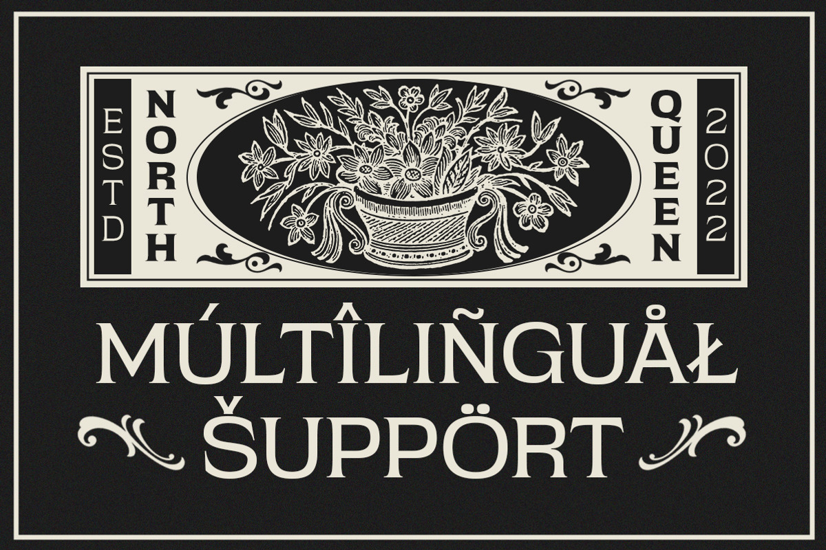 North Queen, a Serif Font by Typeskets (Photo 9 of 10)