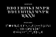 BELINGHAM Elegant Serif Typeface, a Serif Font by Alfinart (Thumbnail 8 of 8)