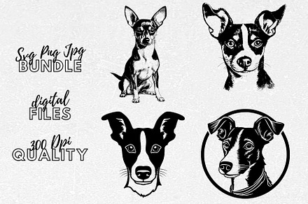 Rat Terrier SVG - Dog Breed Clipart