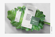50%OFF The Scene Creator 2-top view, a Packaging Mockup by Creatoom (Thumbnail 3 of 40)